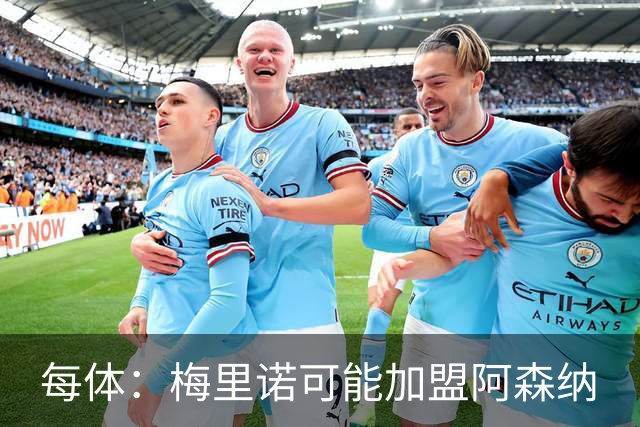 每体：梅里诺可能加盟阿森纳